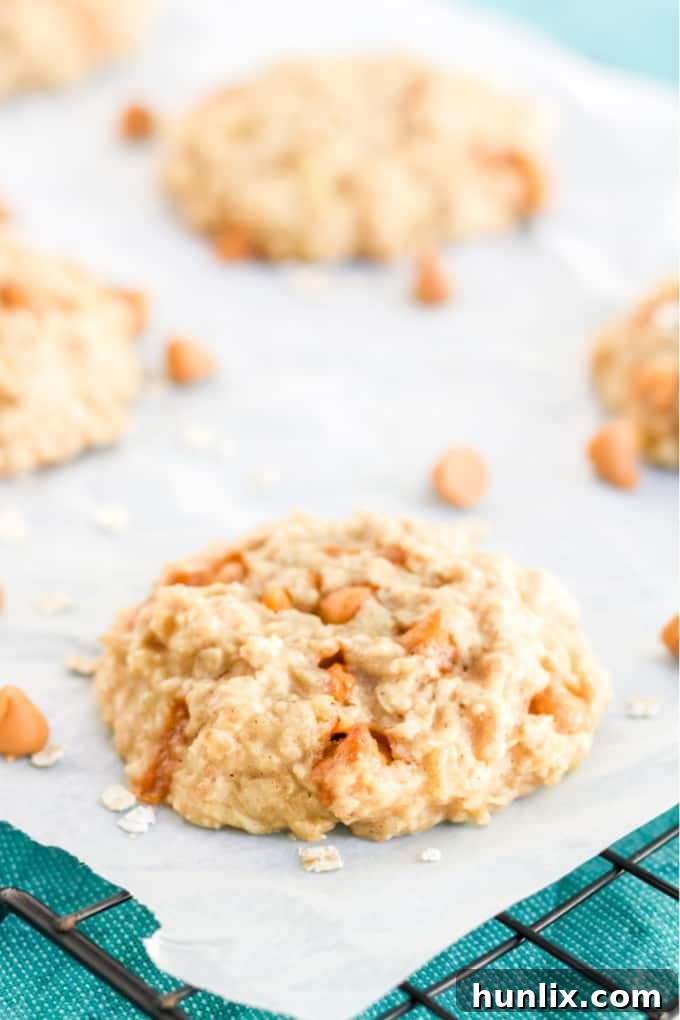 Pineapple Oatmeal Scotchies - Moist, chewy oatmeal cookies packed with pineapple and butterscotch are a delicious treat. Made with pantry items, they are quick and easy to whip together.