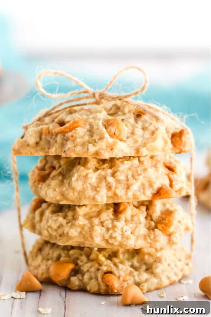 Pineapple Oatmeal Scotchies - Moist, chewy oatmeal cookies packed with pineapple and butterscotch are a delicious treat. Made with pantry items, they are quick and easy to whip together.