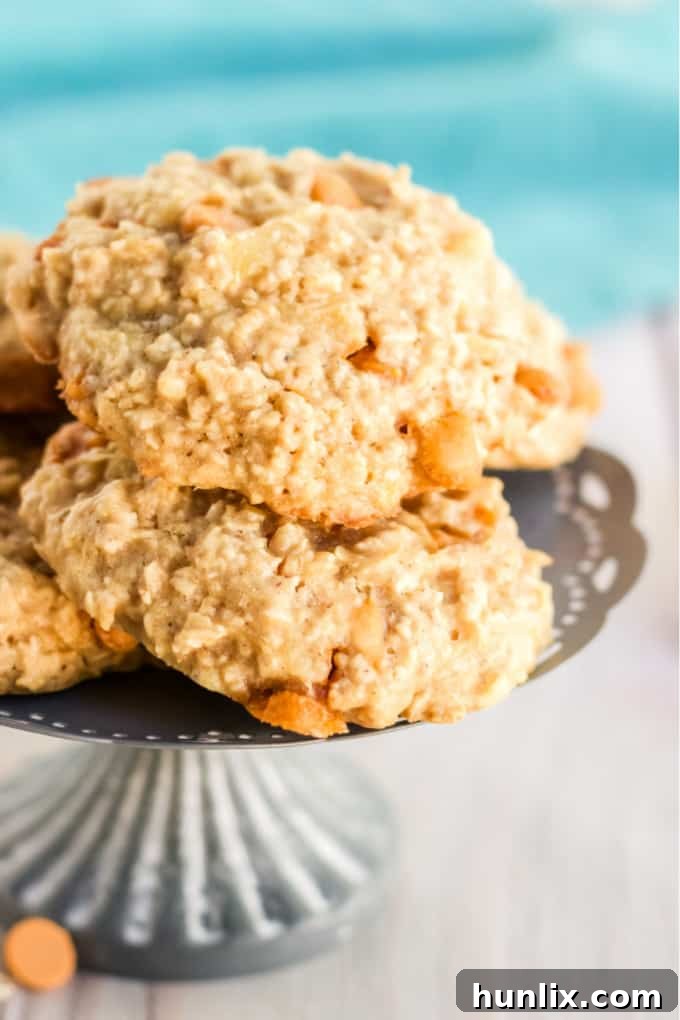 Pineapple Oatmeal Scotchies - Moist, chewy oatmeal cookies packed with pineapple and butterscotch are a delicious treat. Made with pantry items, they are quick and easy to whip together.