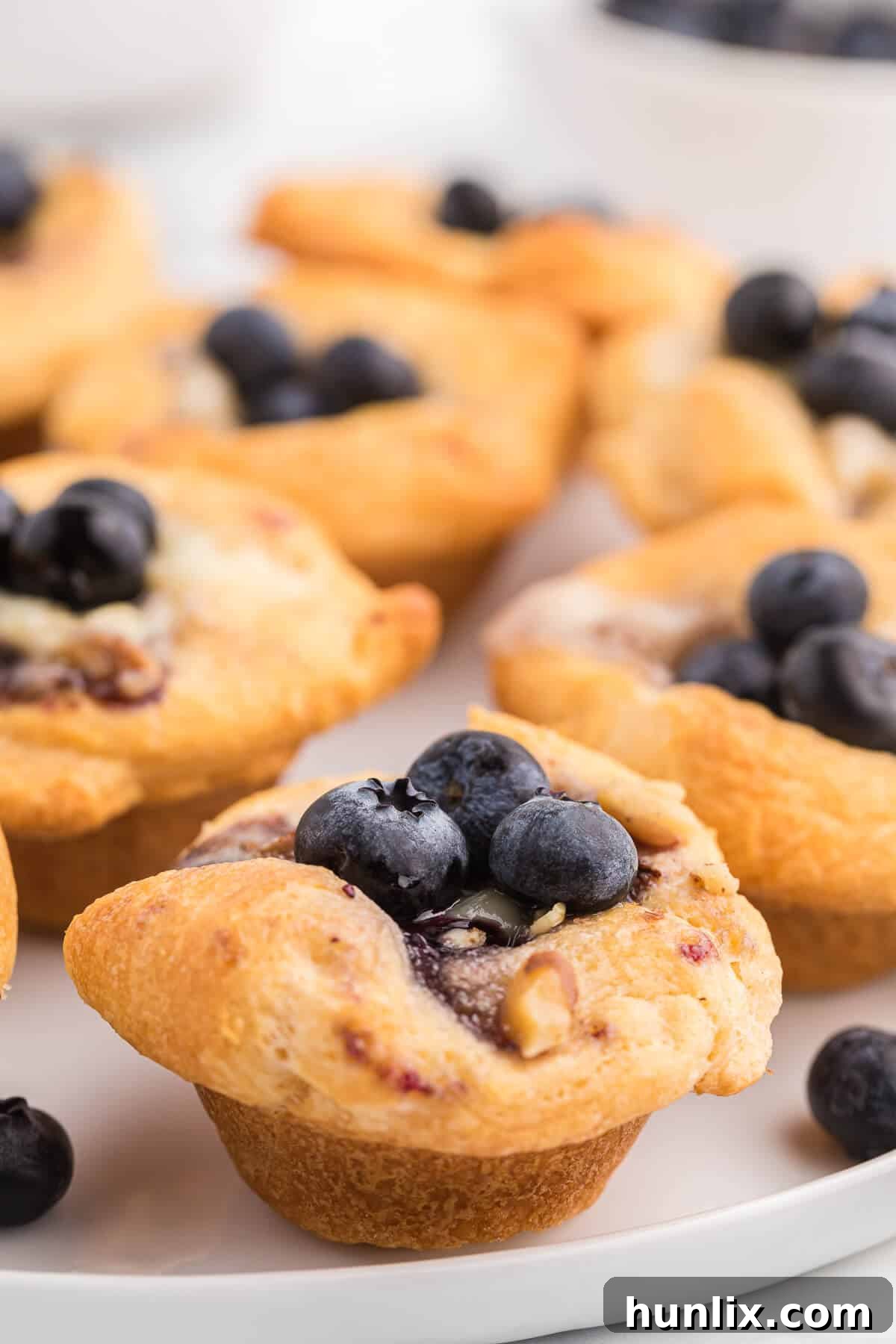 Blueberry Cheese Tarts - Sweet and savory combine in these delicate tarts! Serve as a sweet appetizer or a mini dessert.