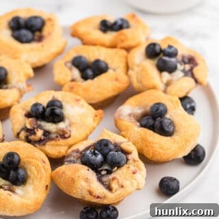 Blueberry Cheese Tarts - Sweet and savory combine in these delicate tarts! Serve as a sweet appetizer or a mini dessert.