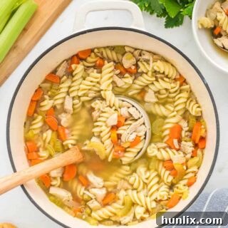 A pot of homemade chicken noodle soup with a ladle