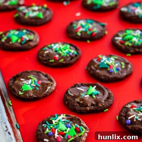 Rich Christmas brownie cookies, a quick and delicious recipe for the busy holiday season.