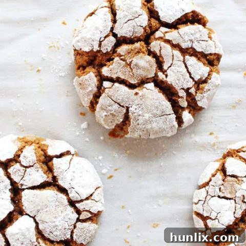 Gingerbread crinkle cookies, chewy with ginger flavor and a sugar-coated crackled surface.
