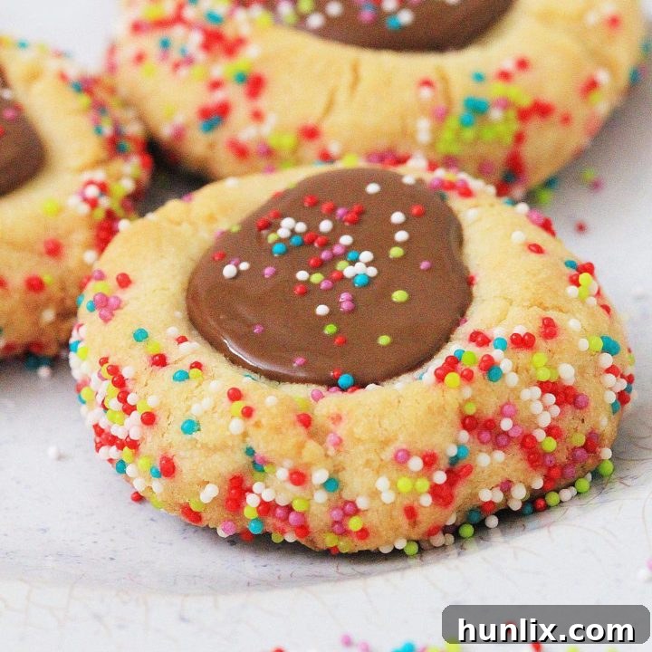 Decadent chocolate thumbprint cookies filled with chocolate ganache, a sophisticated holiday treat.