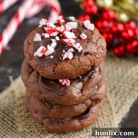 Soft peppermint hot chocolate cookies frosted with dark chocolate and crushed candy canes.