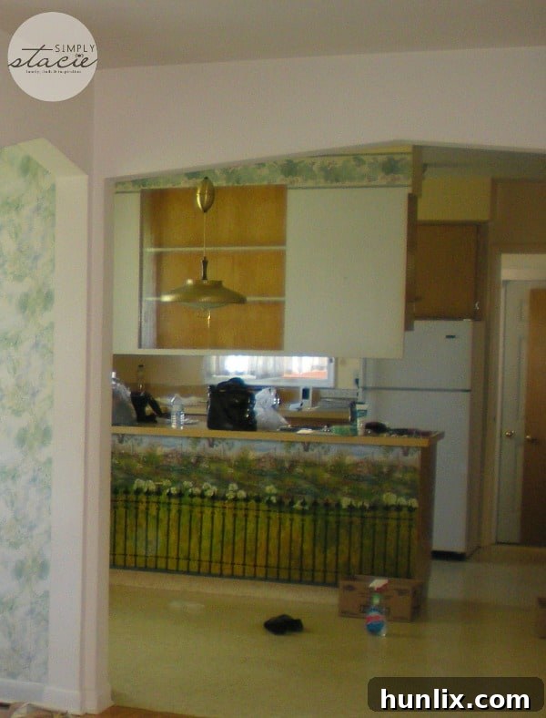My Kitchen Before Renovations - Original Condition