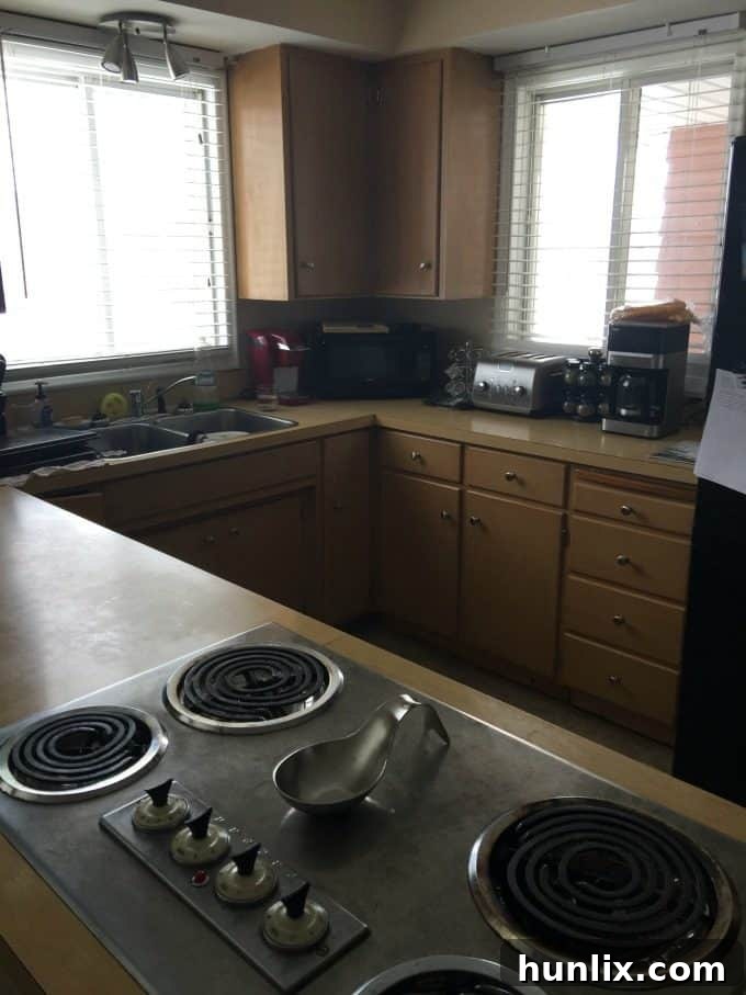 My Kitchen Before The Final Renovation - Pantry Details