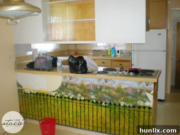 My Kitchen Before Renovations - Original Layout