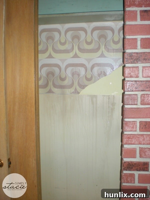 My Kitchen Before Renovations - Cabinets Removed