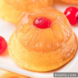 A cupcake on a platter with cherries.