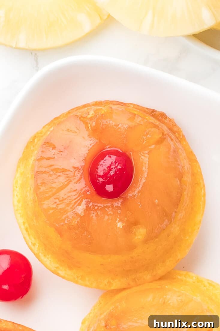 A plate of cupcakes.