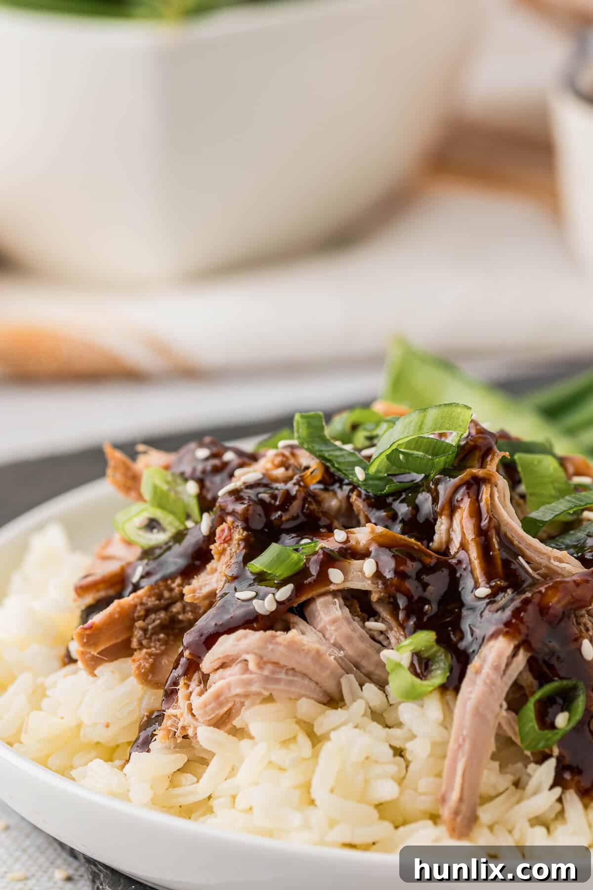 Soy Ginger Pork Tenderloin 7 A bowl of shredded Asian pork tenderloin served on a bed of white rice, garnished with green onions.