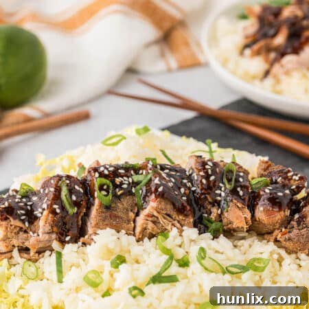 Soy Ginger Pork Tenderloin 10 Sliced Asian pork tenderloin on a bed of rice and cabbage, representing the final dish.