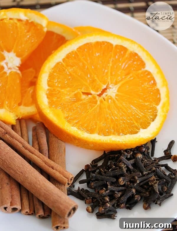 Stove Top Air Freshener - Natural home fragrance with orange, cloves, and cinnamon for a welcoming atmosphere.