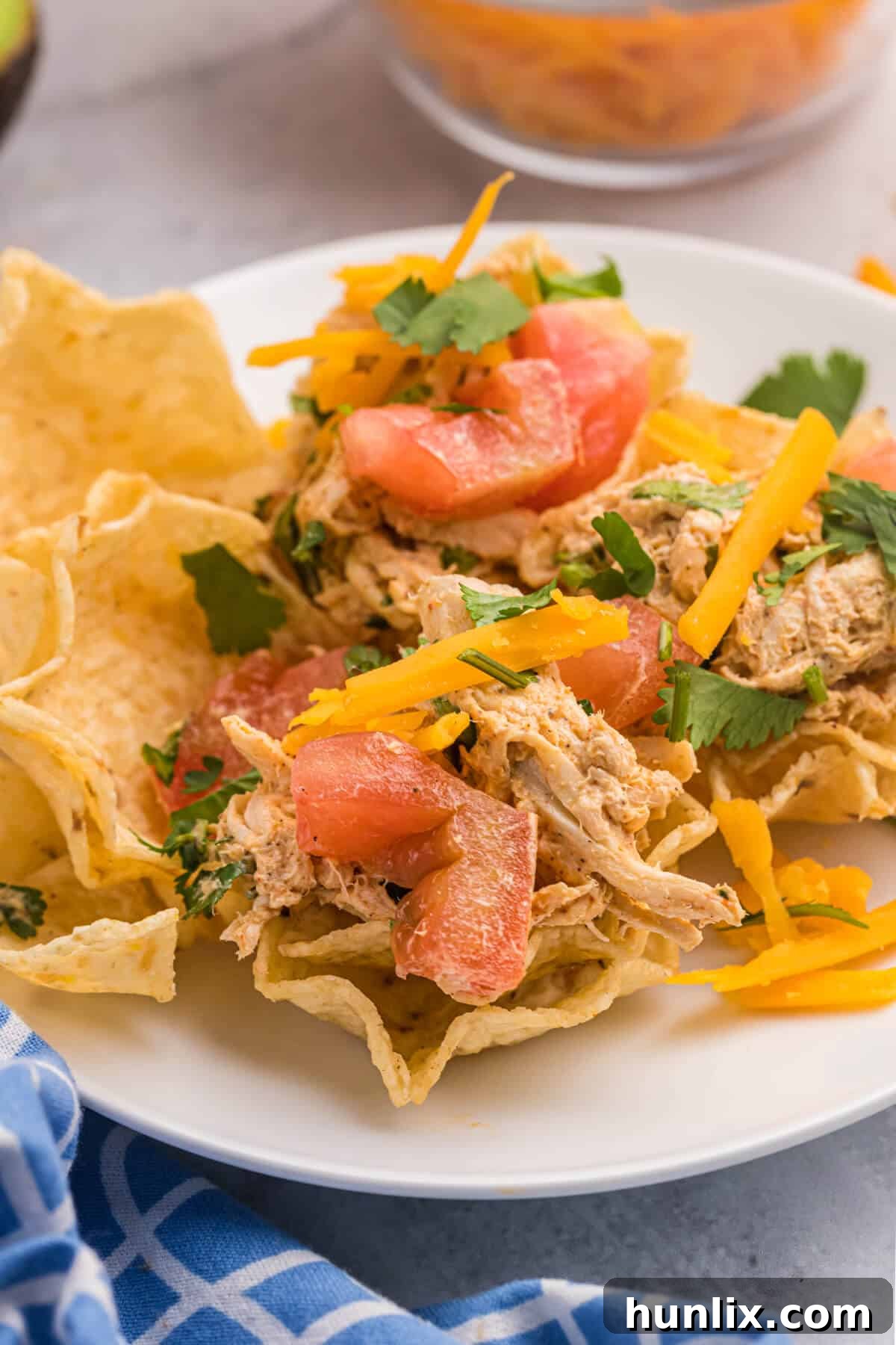 Fiesta Chicken Salad 7 Taco Chicken Salad beautifully presented in a tortilla bowl.