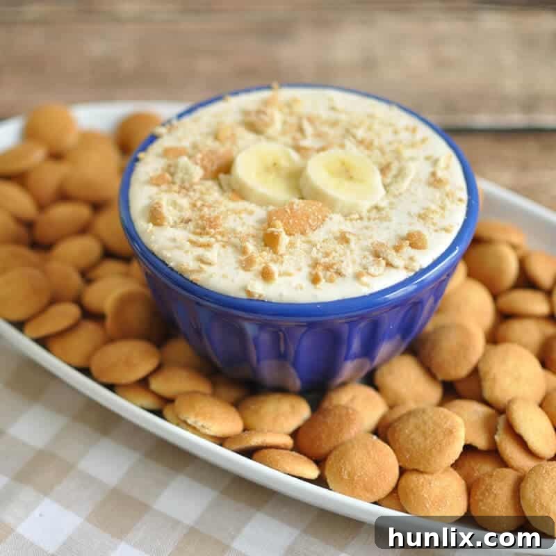 Banana Pudding Dip