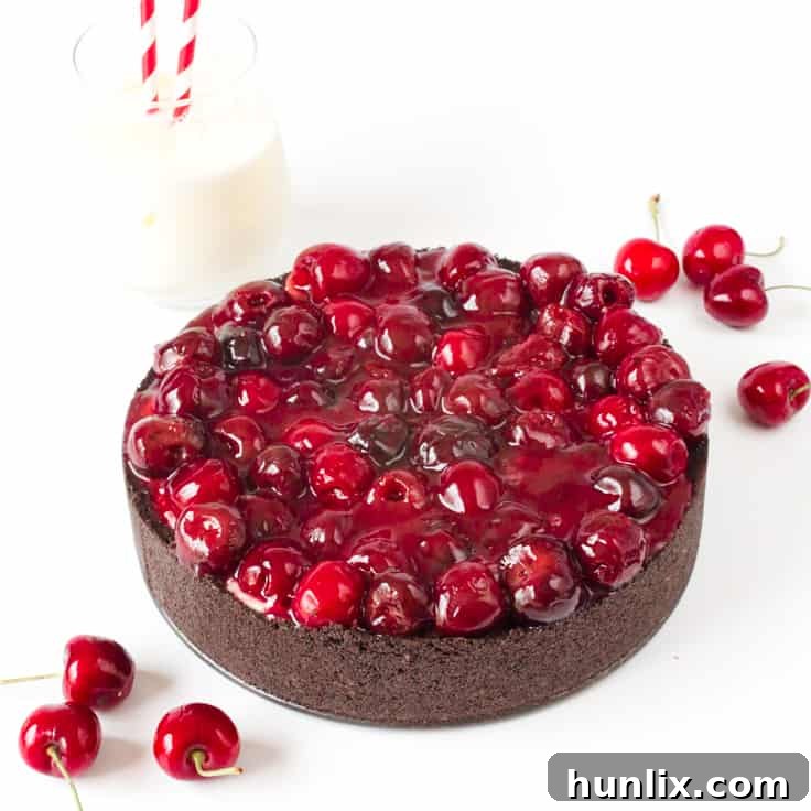 Decadent Cherry Oreo Cheesecake 2 Cherry Cheesecake with Oreo Crust - Chocolate and cherry combine for this decadent dessert! The sweet cheesecake filling melds perfectly with the crunchy cookie crust for a delicious and beautiful treat.