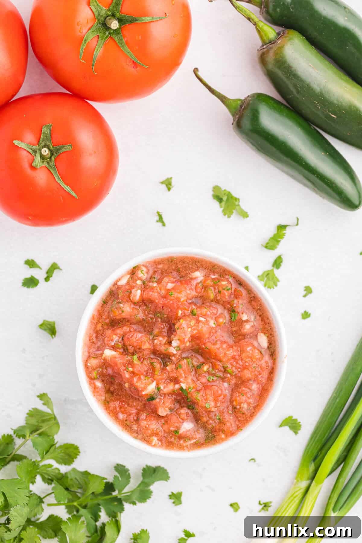 Fresh garden salsa in a rustic bowl, surrounded by ripe tomatoes, vibrant green peppers, and fragrant cilantro, showcasing the bounty of the harvest.