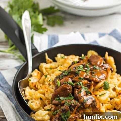 German Spaetzle with Mushroom Sauce - Jagerspatzle