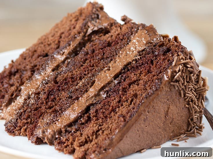 Indulge in the best Chocoholics Chocolate Mousse Cake recipe – a light, fluffy, and decadent triple-layer chocolate cake with creamy mousse. Perfect for any celebration!