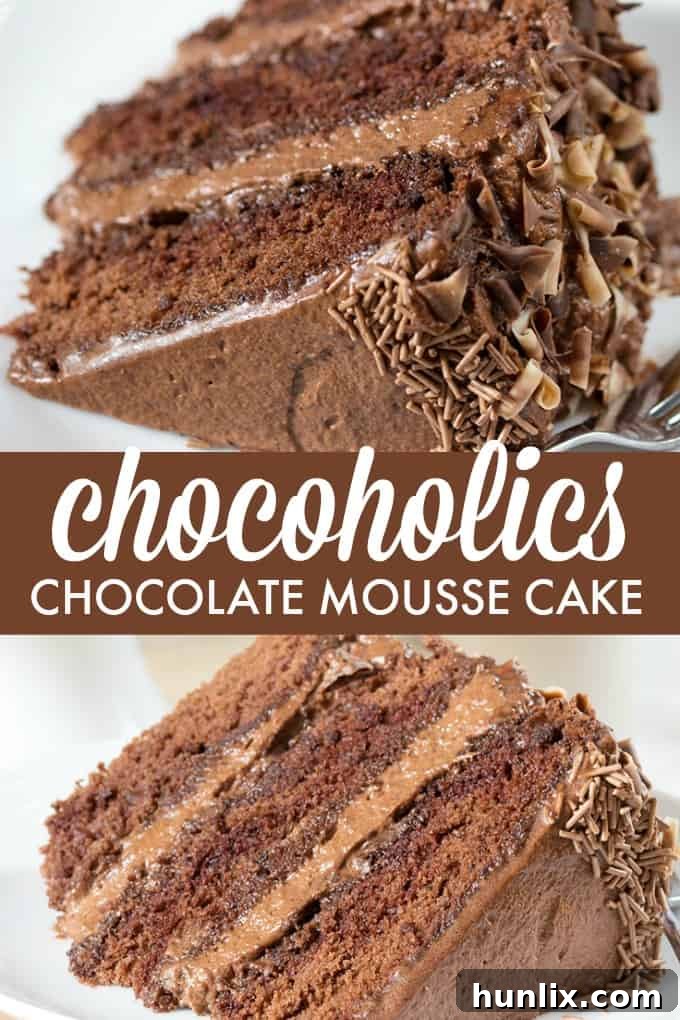 Close-up of a slice of Chocoholics Chocolate Mousse Cake, revealing the moist cake layers and creamy mousse filling.