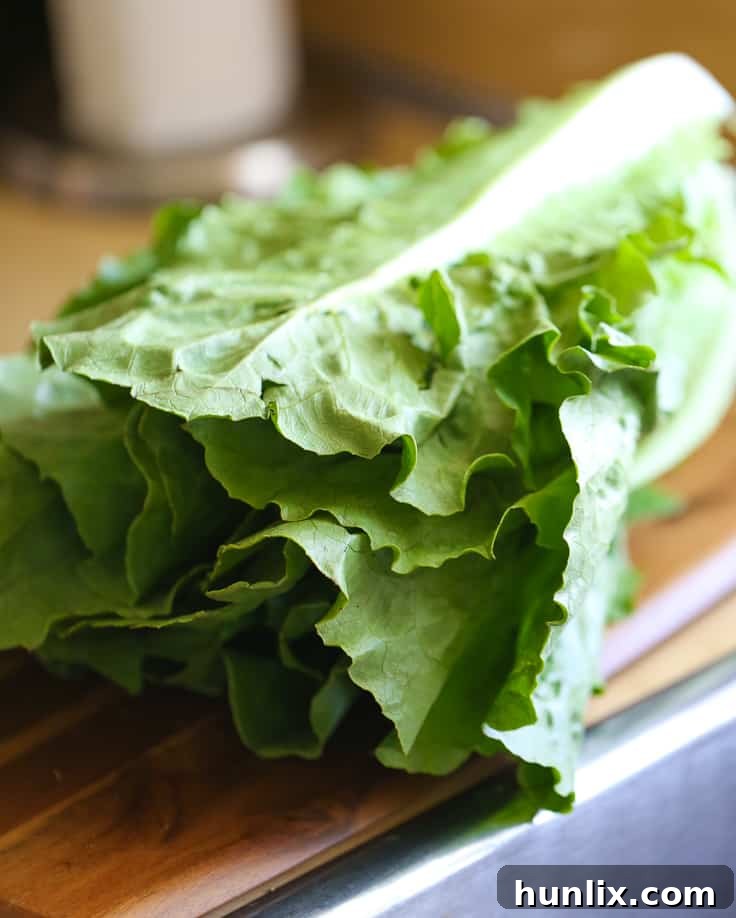 Fresh, crisp Romaine lettuce, a fundamental ingredient for Caesar salad.