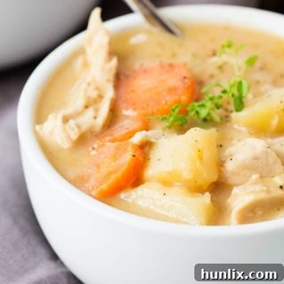 Creamy Chicken and Vegetable Soup