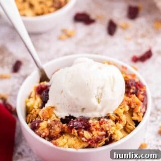 Cranberry cobbler dump cake with vanilla ice cream on top in a bowl.