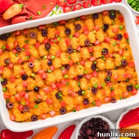 The casserole surrounded by ingredients.