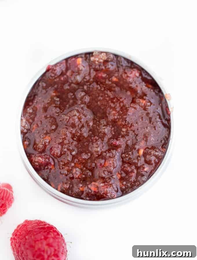 Raspberry Kiss Lip Polish 8 Finished Raspberry Lip Scrub in a tin