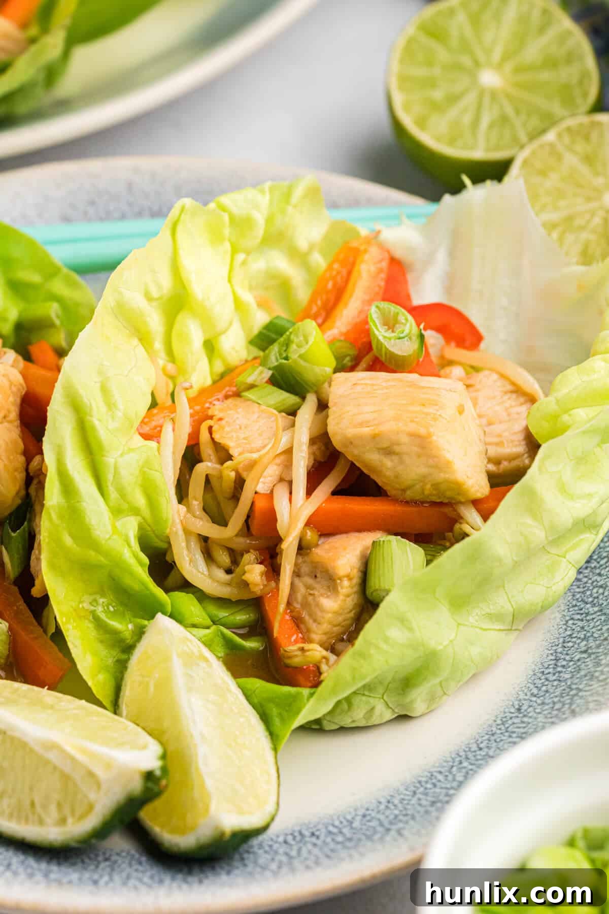 A plate of several Asian chicken lettuce wraps, ready to be enjoyed.