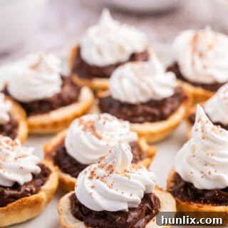 A plate of chocolate cream tarts, perfectly arranged for a delightful dessert experience.