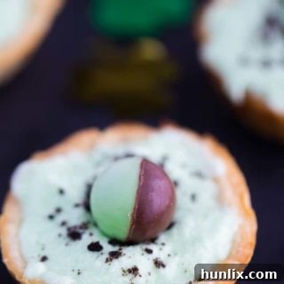 Emerald Mint Chocolate Tarts 6 Grasshopper Tarts