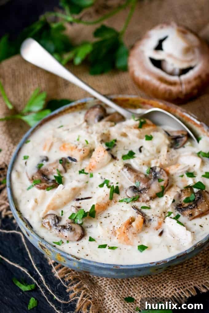 An inviting overhead shot of a rustic ceramic bowl filled with creamy Chicken, Wild Rice, and Mushroom Soup, ready to be enjoyed.