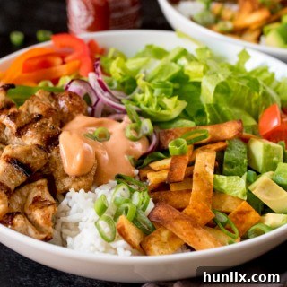 Southwest Fiesta Bowl 7 Tex Mex Lunch Bowl