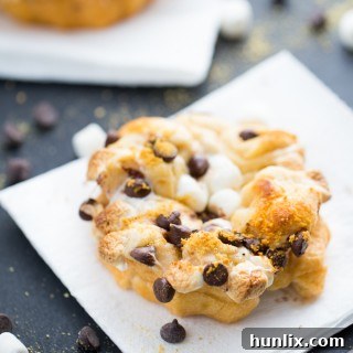 Mini S'mores Pull-Aparts