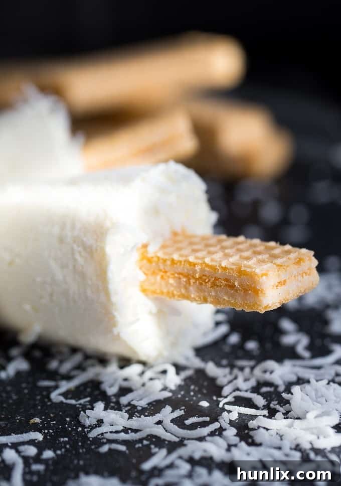 Close-up of an edible Voortman Wafer stick in an ice pop