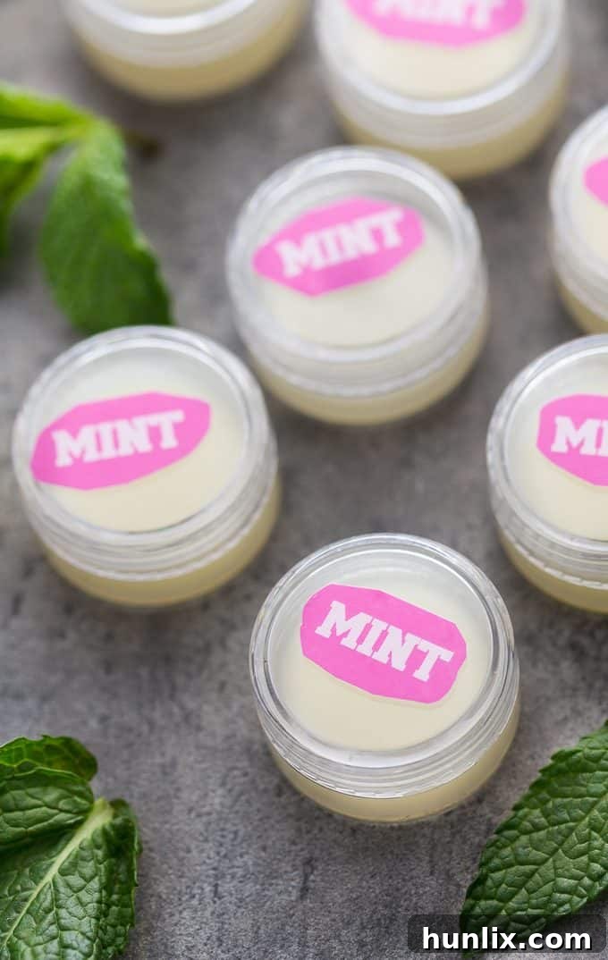 Arctic Kiss Lip Balm 2 Mint Lip Balm - Your lips will feel soft and minty fresh with this easy DIY beauty recipe!
