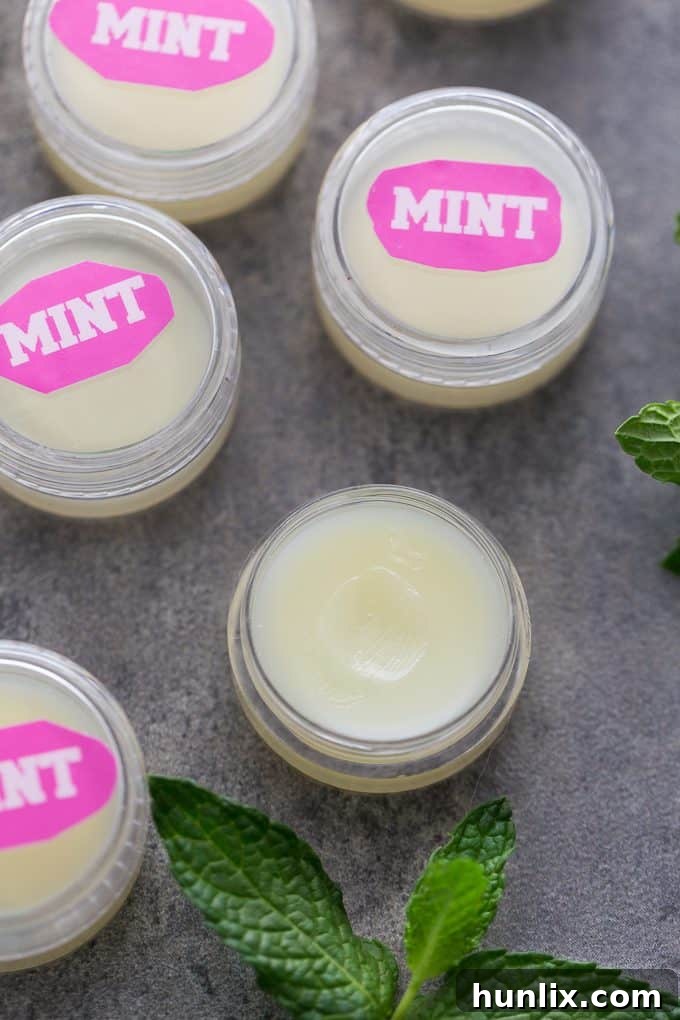 Arctic Kiss Lip Balm 3 Mint Lip Balm - Your lips will feel soft and minty fresh with this easy DIY beauty recipe!