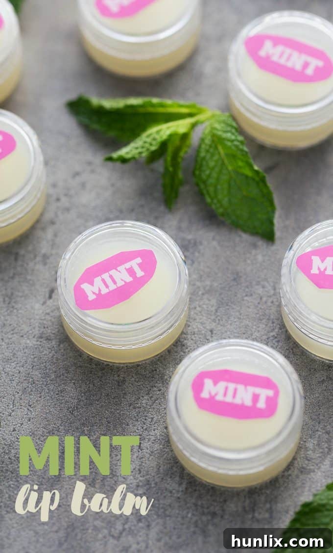 Arctic Kiss Lip Balm 4 Mint Lip Balm - Your lips will feel soft and minty fresh with this easy DIY beauty recipe!