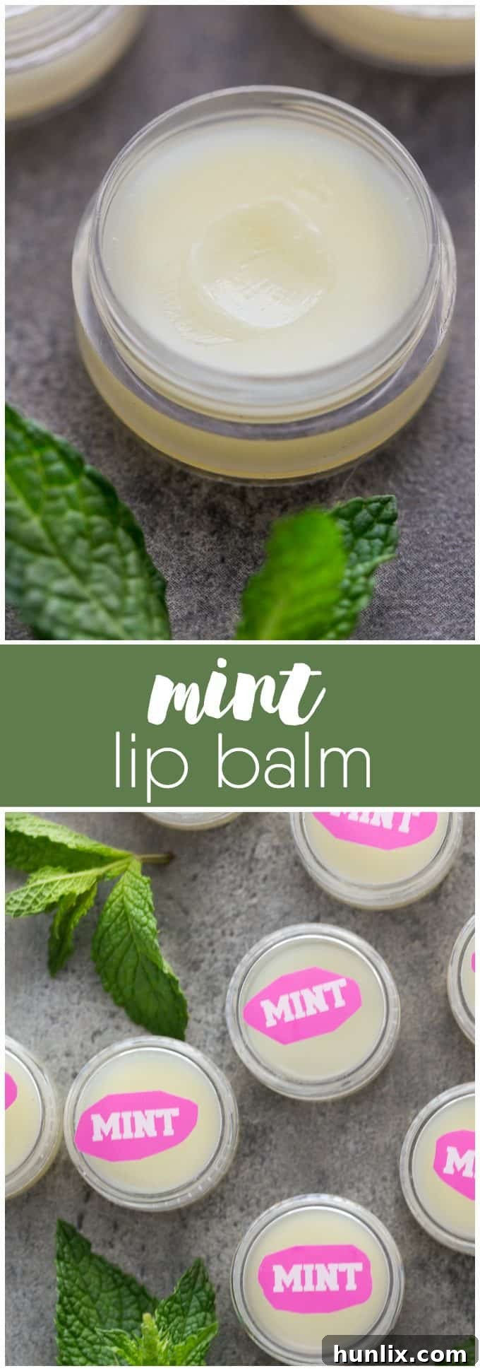Arctic Kiss Lip Balm 5 Mint Lip Balm - Your lips will feel soft and minty fresh with this easy DIY beauty recipe!