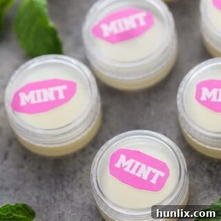 Arctic Kiss Lip Balm 6 Mint Lip Balm