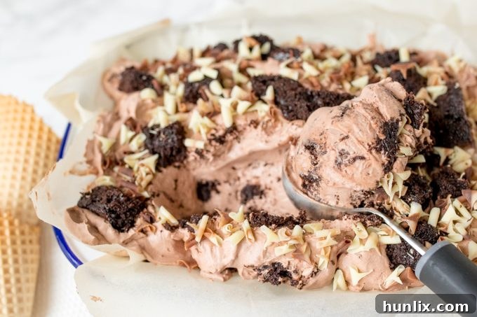 Close-up of chocolate cake ice cream in a white tub with an ice cream scoop.
