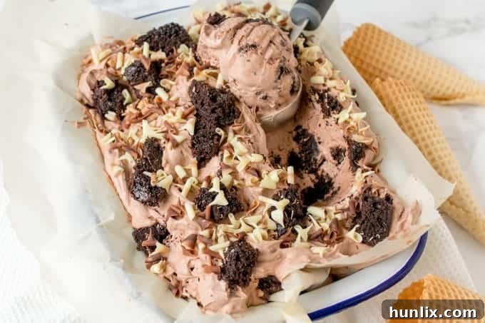 Scoops of chocolate cake ice cream in a bowl, garnished with chocolate curls.