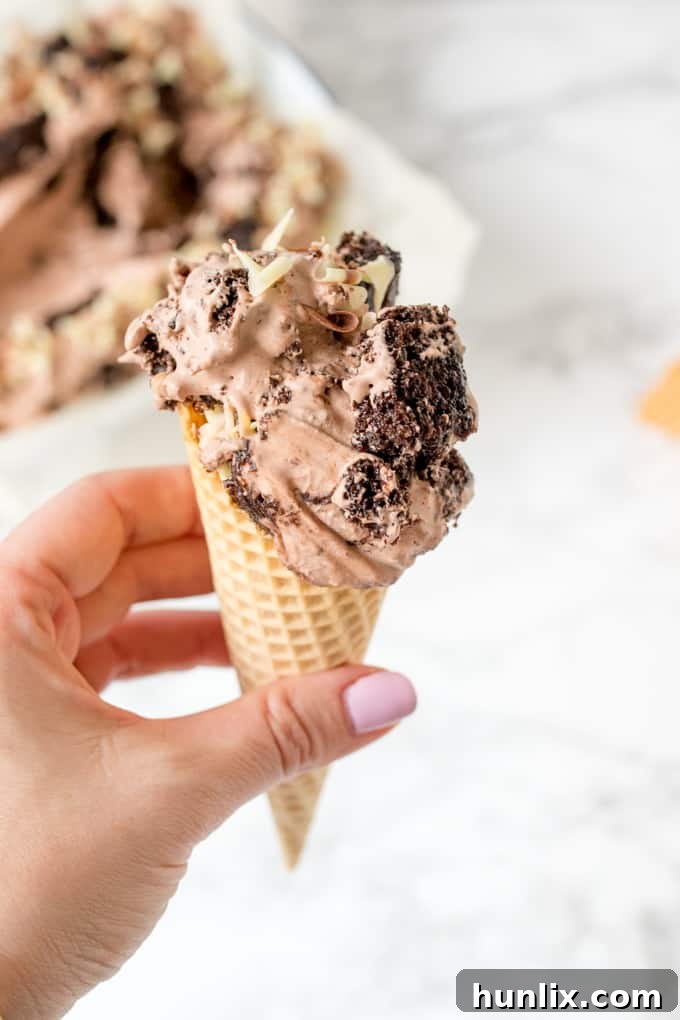 A hand holding a chocolate cake ice cream cone, showing the delicious mix-ins.