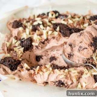 No-Churn Chocolate Cake Ice Cream