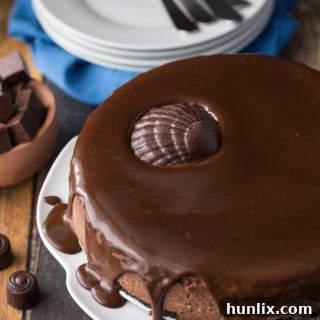 Saint Lucian Chocolate Cheesecake