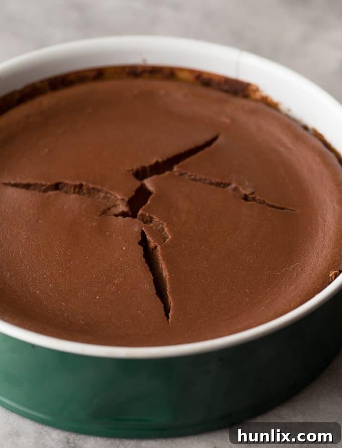A baked Saint Lucian chocolate cheesecake, showing a few natural cracks, soon to be covered by a decadent ganache.