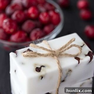 Cranberry Vanilla Shea Butter Soap